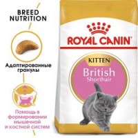 Royal Canin British Shorthair Kitten для котят британская короткошерстная